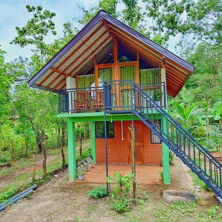 Sigiri Saat Cabana Sigiriya Luaran gambar