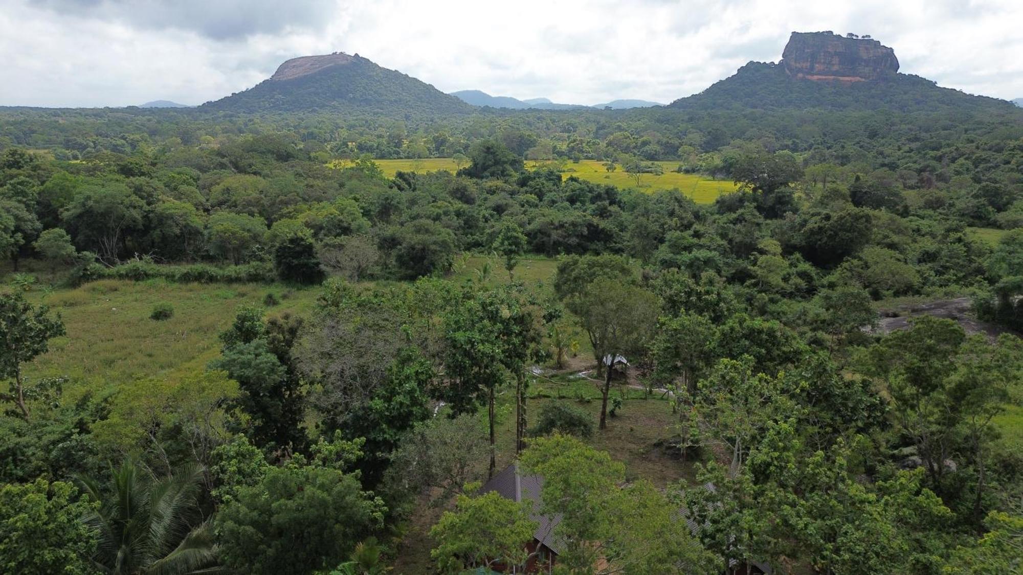 Sigiri Saat Cabana Sigiriya Luaran gambar