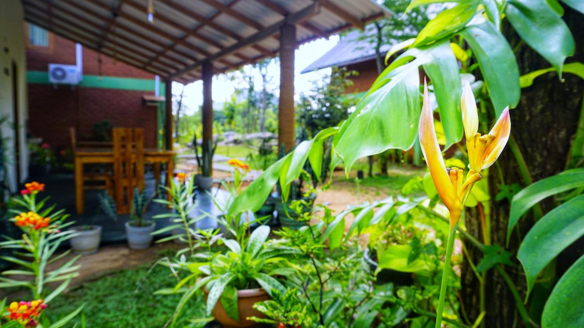 Sigiri Saat Cabana Sigiriya Luaran gambar